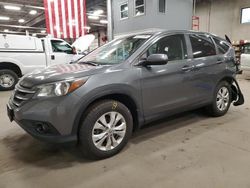Salvage cars for sale from Copart Blaine, MN: 2012 Honda CR-V EX