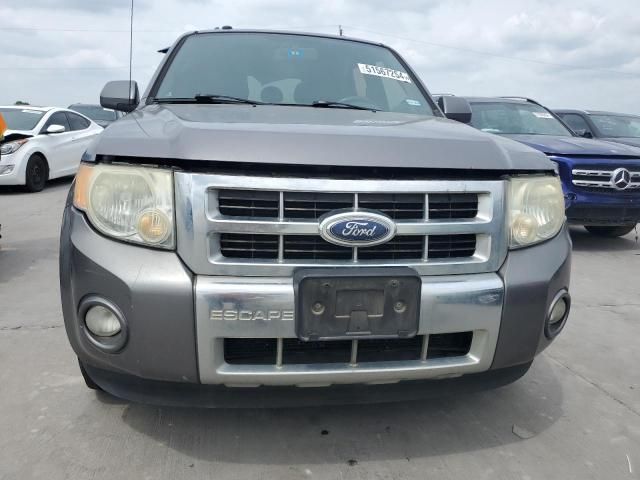 2009 Ford Escape Limited