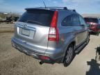 2007 Honda CR-V EXL