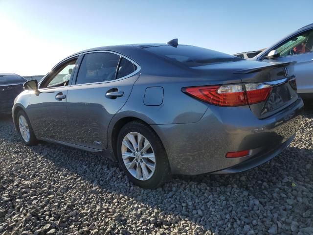 2015 Lexus ES 300H