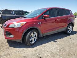 Vehiculos salvage en venta de Copart Mercedes, TX: 2014 Ford Escape SE