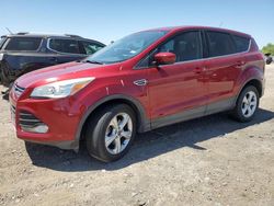 Salvage cars for sale at auction: 2014 Ford Escape SE