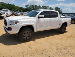 Salvage cars for sale at Theodore, AL auction: 2023 Toyota Tacoma Double Cab