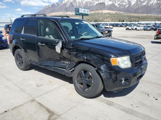 2008 Ford Escape XLT