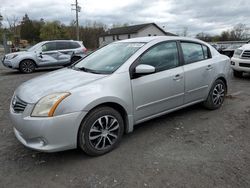 Salvage cars for sale at York Haven, PA auction: 2010 Nissan Sentra 2.0