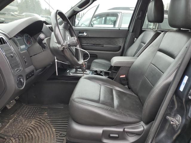 2009 Ford Escape Limited