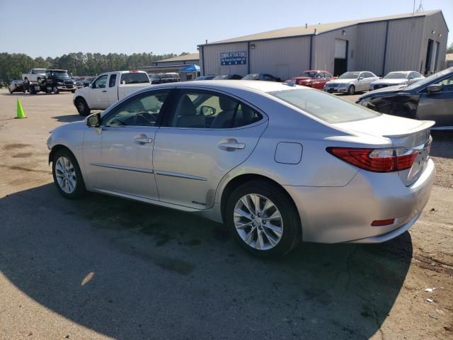 2013 Lexus ES 300H