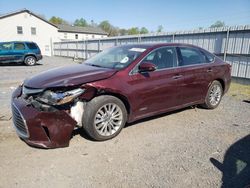 Salvage cars for sale at York Haven, PA auction: 2016 Toyota Avalon Hybrid