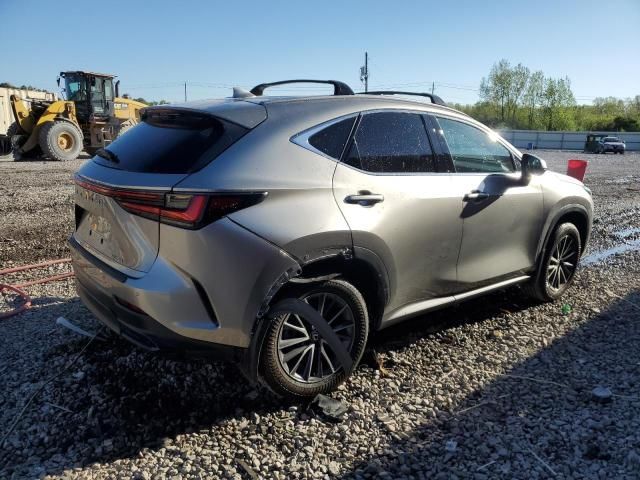 2024 Lexus NX 250 Premium