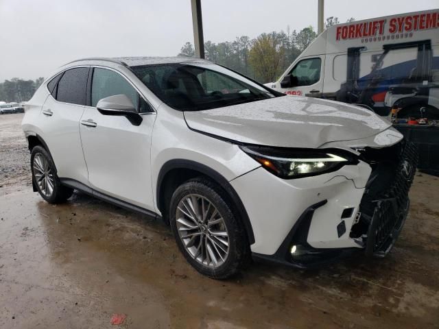 2022 Lexus NX 350