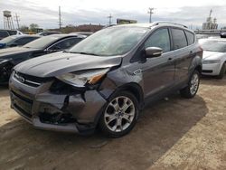 Salvage cars for sale at Chicago Heights, IL auction: 2014 Ford Escape Titanium