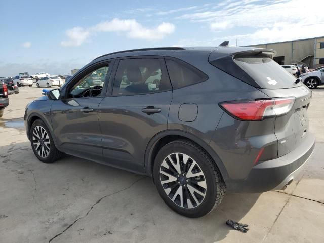 2020 Ford Escape SE Sport