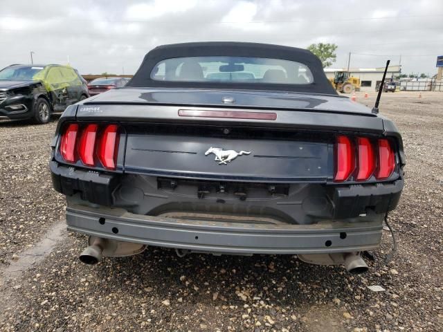 2019 Ford Mustang