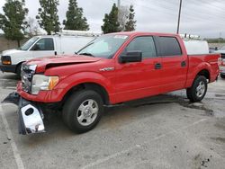 Salvage trucks for sale at Rancho Cucamonga, CA auction: 2013 Ford F150 Supercrew