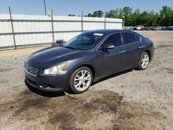 Salvage cars for sale at Lumberton, NC auction: 2012 Nissan Maxima S