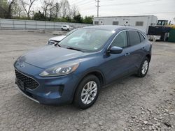 Salvage cars for sale at Bridgeton, MO auction: 2020 Ford Escape SE