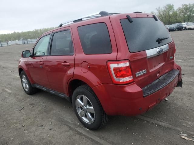 2010 Ford Escape Limited