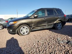 Salvage cars for sale at Phoenix, AZ auction: 2011 Hyundai Santa FE SE