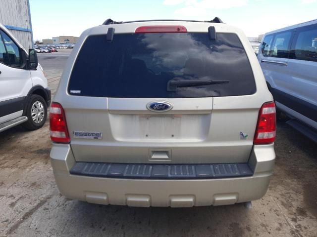 2011 Ford Escape XLT