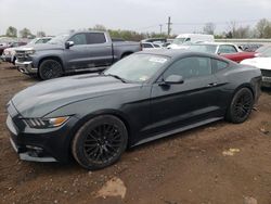 Salvage cars for sale at Hillsborough, NJ auction: 2015 Ford Mustang