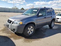 2007 Ford Escape XLT for sale in Littleton, CO