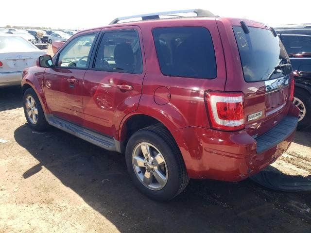 2011 Ford Escape Limited