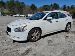 Nissan salvage cars for sale: 2013 Nissan Maxima S