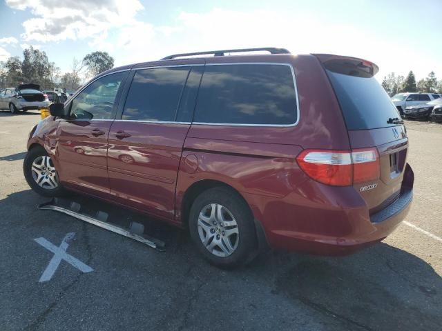 2006 Honda Odyssey EXL