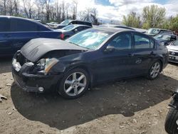 Salvage cars for sale from Copart Baltimore, MD: 2006 Nissan Maxima SE