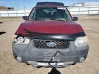 2005 Ford Escape XLT