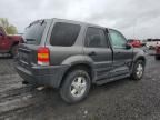 2004 Ford Escape XLS