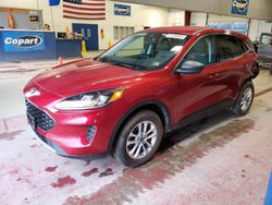 Ford Escape salvage cars for sale: 2022 Ford Escape SE