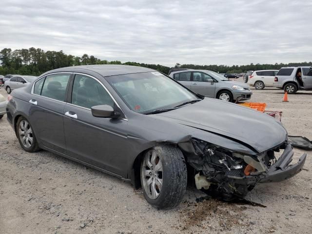 2010 Honda Accord EXL