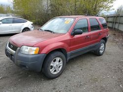 Ford Escape XLT salvage cars for sale: 2003 Ford Escape XLT