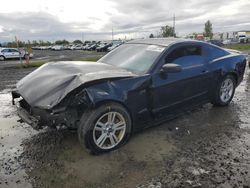 Salvage cars for sale from Copart Eugene, OR: 2013 Ford Mustang