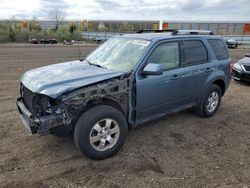 Salvage cars for sale at Columbia Station, OH auction: 2011 Ford Escape Limited