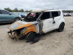 Salvage cars for sale at Midway, FL auction: 2018 KIA Soul +