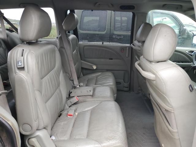 2005 Honda Odyssey EXL