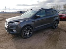 Salvage cars for sale from Copart Greenwood, NE: 2019 Ford Escape SEL
