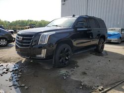 Cadillac Escalade Luxury salvage cars for sale: 2018 Cadillac Escalade Luxury