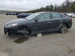 Salvage cars for sale at Brookhaven, NY auction: 2019 Hyundai Sonata Limited