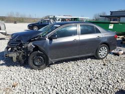 Salvage cars for sale at Wayland, MI auction: 2013 Toyota Corolla Base