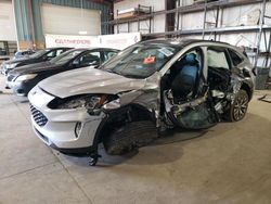 Salvage cars for sale at Eldridge, IA auction: 2020 Ford Escape Titanium