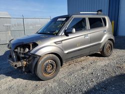 Salvage cars for sale from Copart Elmsdale, NS: 2010 KIA Soul +