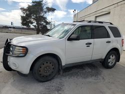 Salvage cars for sale from Copart Pasco, WA: 2010 Ford Escape XLT