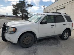 Ford Escape Vehiculos salvage en venta: 2010 Ford Escape XLT