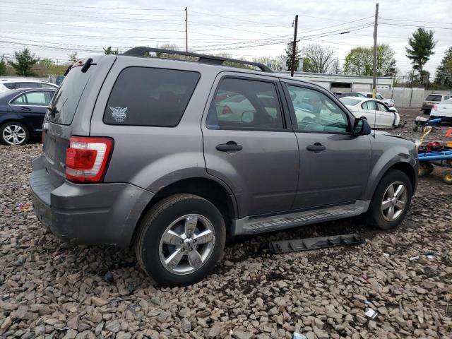 2010 Ford Escape XLT