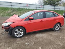 Ford Focus SE salvage cars for sale: 2014 Ford Focus SE