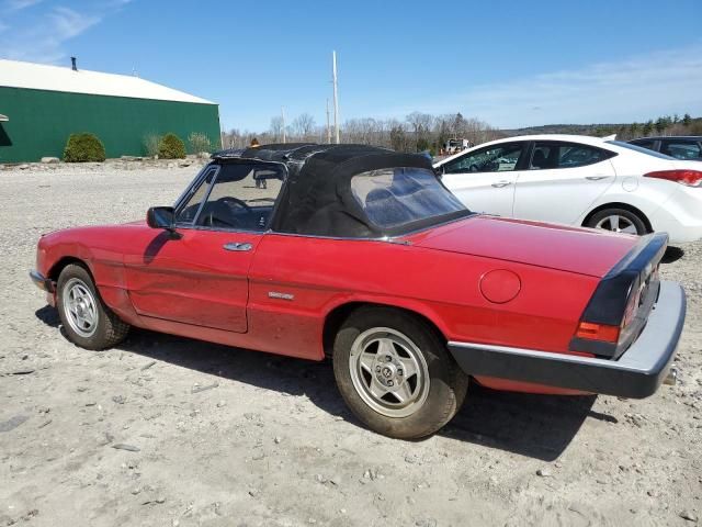 1986 Alfa Romeo Veloce 2000 Spider