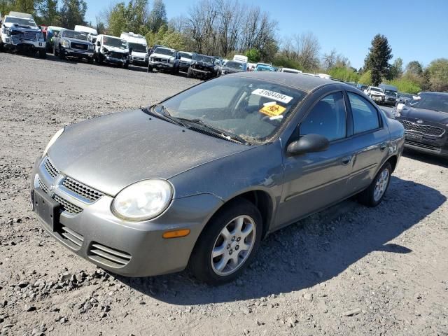 2005 Dodge Neon SXT